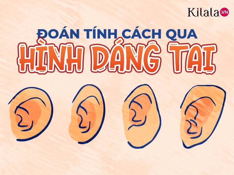 hình dáng tai tiết lộ tính cách của bạn hình dáng tai tiết lộ tính cách của bạn